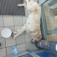 Abbadonato con caldo