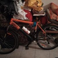 mountain bike 
