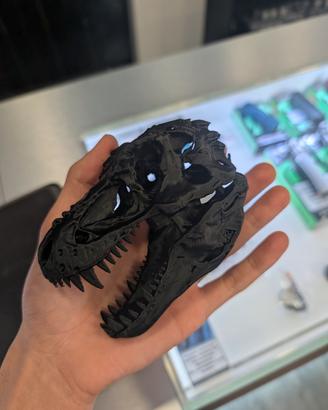 Teschio T-rex