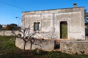 Terreno con uliveto e lamia