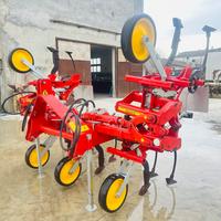 Sarchiatrice Mainardi