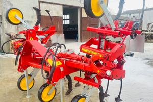 Sarchiatrice Mainardi