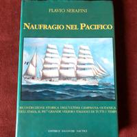 Naufragio nel Pacifico - F. Serafini - 1993
