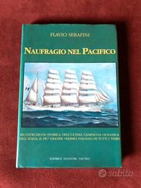 Naufragio nel Pacifico - F. Serafini - 1993