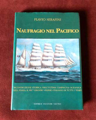 Naufragio nel Pacifico - F. Serafini - 1993