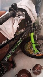 Bicicletta Bmx
