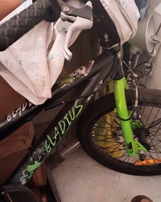 Bicicletta Bmx