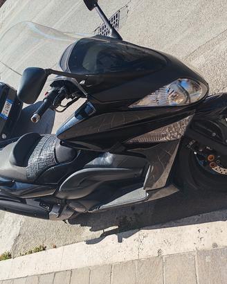 T MAX