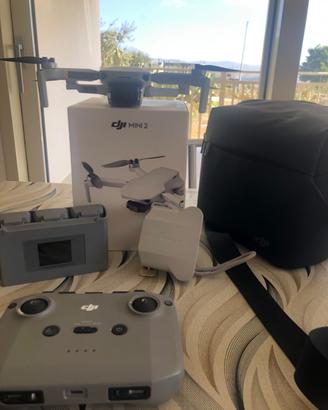 DJI mini 2 pro