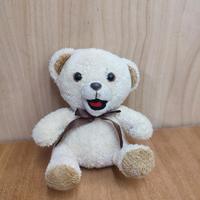 Orsetto Peluche