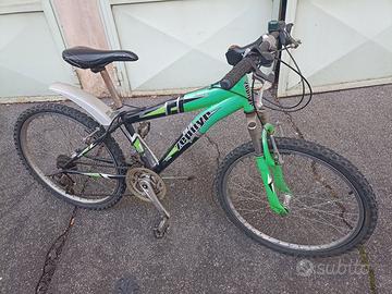 Mountain bike 24
