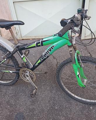 Mountain bike 24