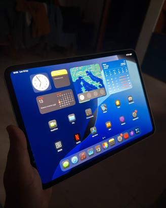 Ipad Pro M4 11”