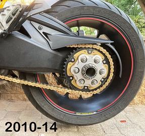 PARASCHIZZI e PARASASSI MULTISTRADA 1200 2010-14