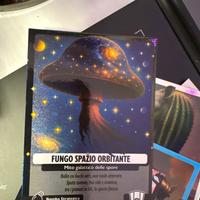 Fungo spazio orbitante 34/150
