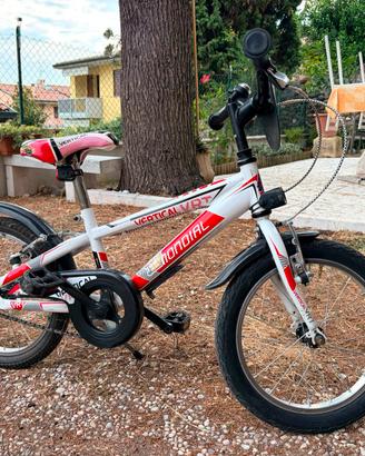 Bici bambino 4-6 anni