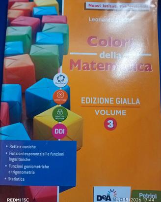Colori della matematica 3