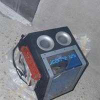 CAssa amplificata per auto