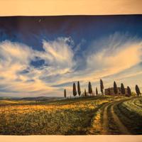 Stampa su tela - Maremma Toscana