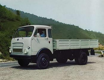 OM Leoncino Tigrotto Lupetto Daino 1964 Ricambi