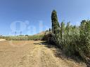 terreno-residenziale-amantea-cod-rif-3335806vrg-