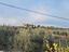 Immagine 21