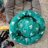 cuccia con accessori