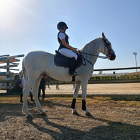 Cavalla spagnola bravissima