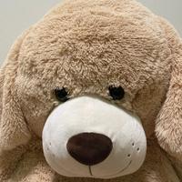 Orso morbidoso colore crema