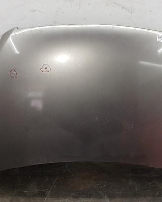 COFANO ANTERIORE FIAT Multipla 2° Serie 51736869