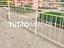Immagine 8