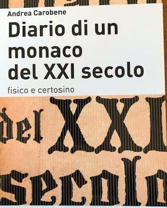 Diario di un monaco del XXI secolo - Roma 2013.