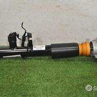 BMW G29 Ammortizzatore posteriore VDC | 16412