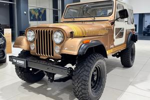 JEEP Renegade - CJ-7 4.2 6 N1