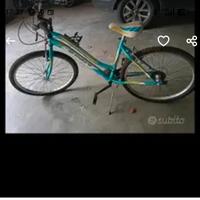 bicicletta da ragazza