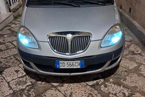 lancia musa