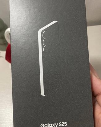 Samsung Galaxy S25 256Gb Nuovo