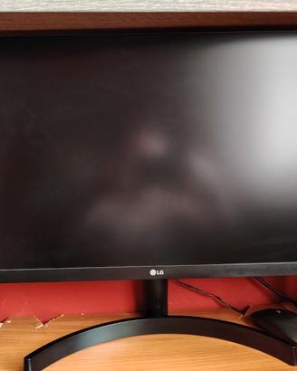 Monitor pc LG 24 pollici full hd