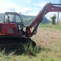 Escavatore neuson 80QL