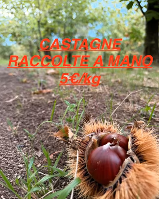 Castagna