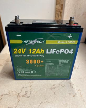 Batteria LiFePO4 24V 12Ah pari al nuovo