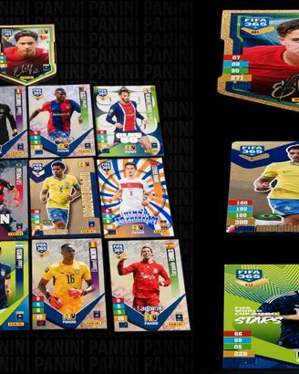 13 CARTE SPECIALI PANINI 