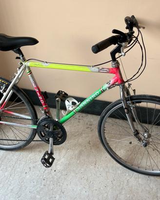 Bicicletta Mountain bike Sannino