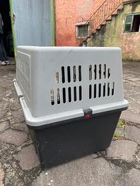Kennel x trasporto capi