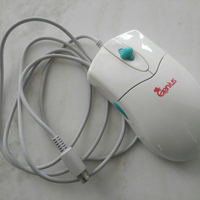 Mouse 6 pin
