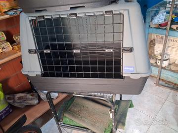 trasporto per cani 