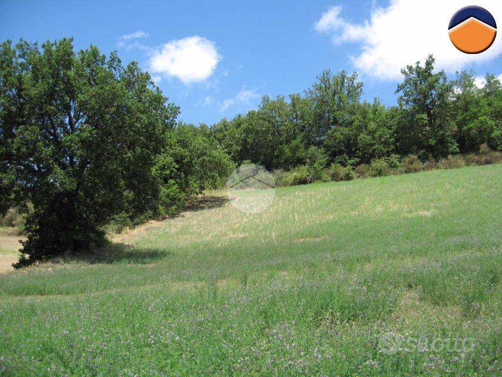 TER. RESIDENZIALE A COLLI AL METAURO - Vista 3
