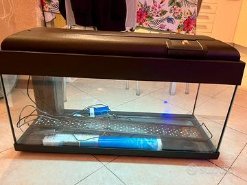 Acquario 80 Litri