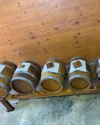 Batteria Aceto Balsamico