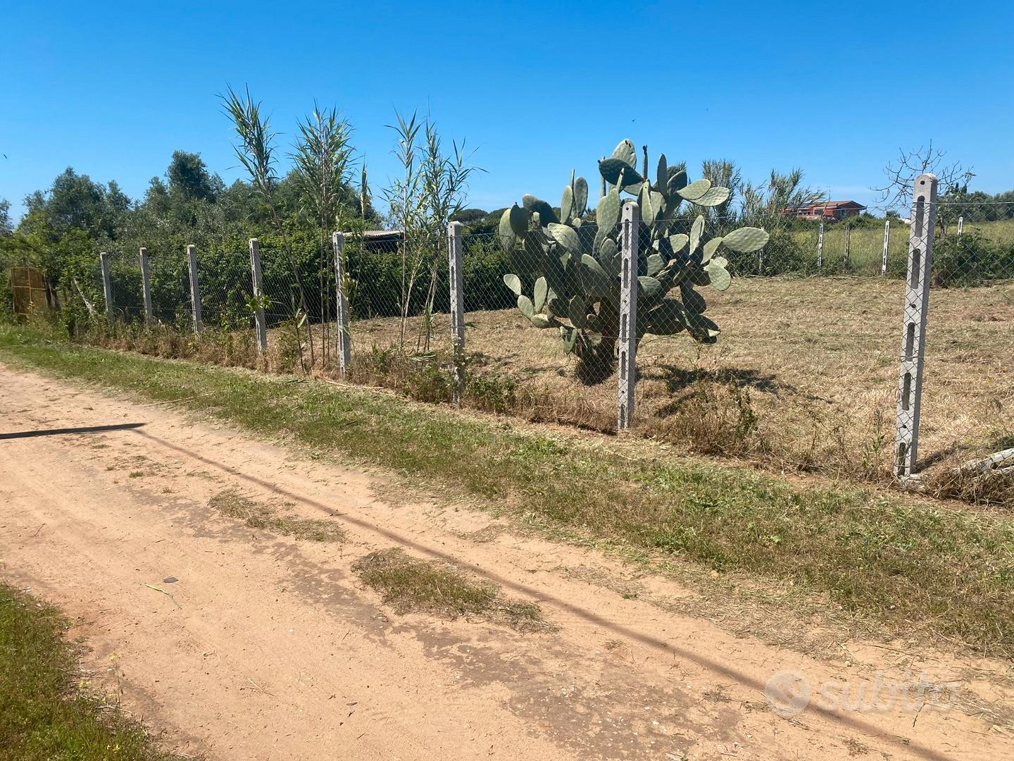 Terreno a Nettuno - Vista 5